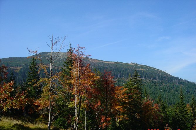 13-Day Highlights of Poland Tour - private for 2-10 persons - Auschwitz, Wadowice, and the Dunajec Gorge