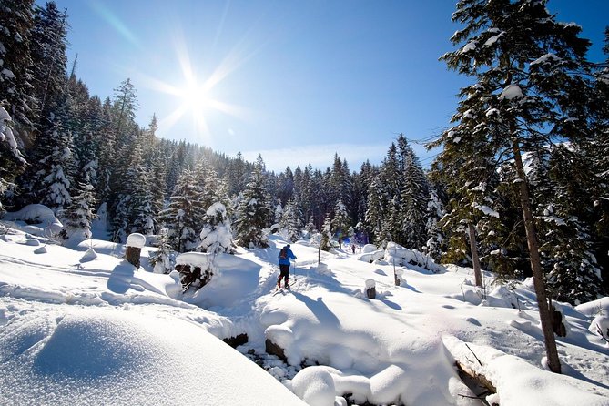 4 hours skitour trip in Tatra Mountains for beginners with renting equipment - The safety briefing is more than a formality