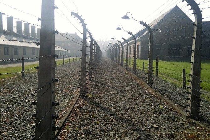 Auschwitz and Birkenau Guided Tour from Krakow - What the three-hour museum visit covers