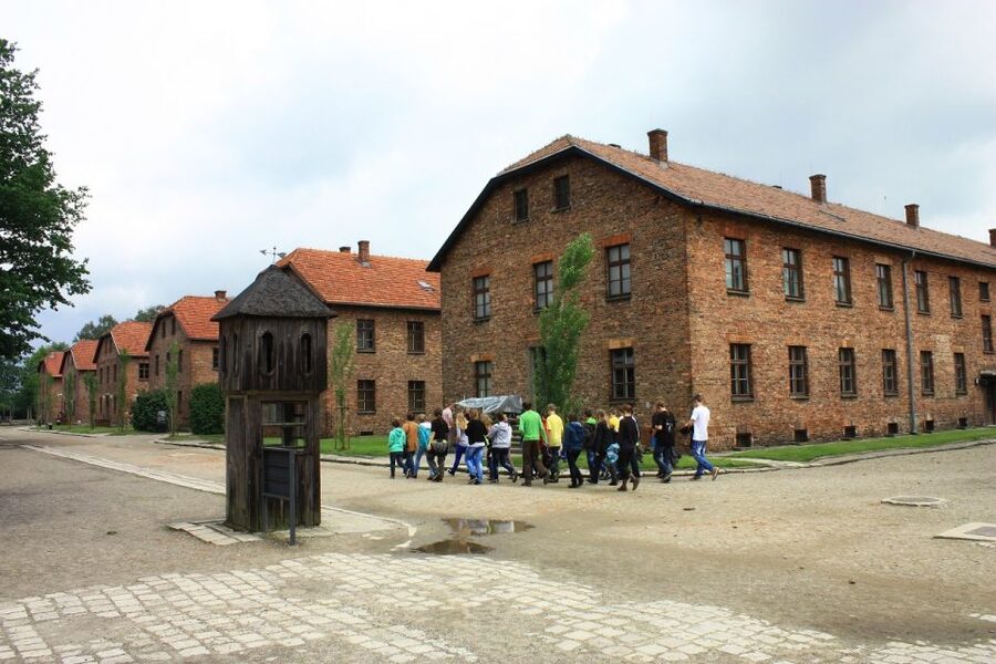 Auschwitz-Birkenau and Krakow Private Car Trip from Katowice - Why skip-the-line entry still requires patience