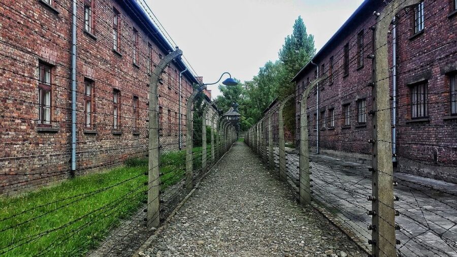 Auschwitz-Birkenau and Krakow Private Car Trip from Katowice - Accessibility, clothing, and useful preparation