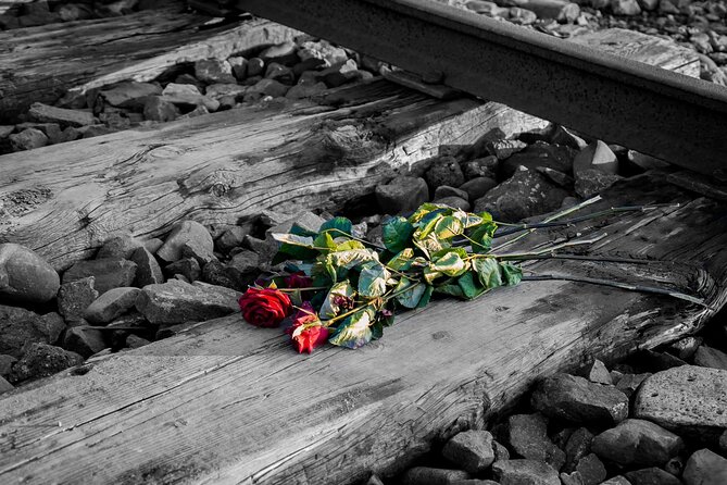 Auschwitz Birkenau and Salt Mine Full Day Guided Tour from Krakow hotel pick up - How the schedule feels in real life