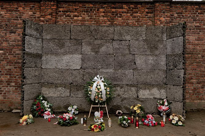 Auschwitz-Birkenau and Wieliczka Salt Mine Day Tour from Krakow with private car - Who should choose this combined tour?