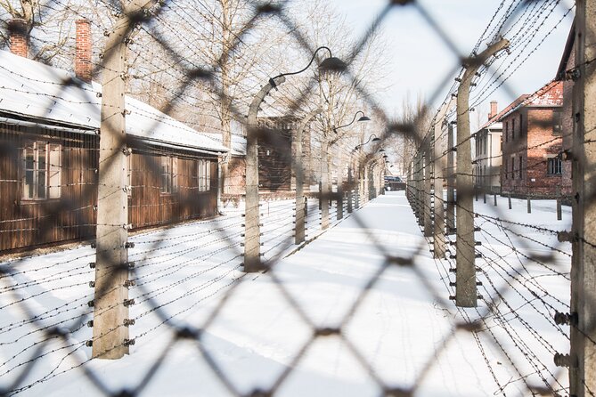 Auschwitz-Birkenau and Wieliczka Salt Mine Full Day Tour - Meeting at Wielopole 2 in Krakow