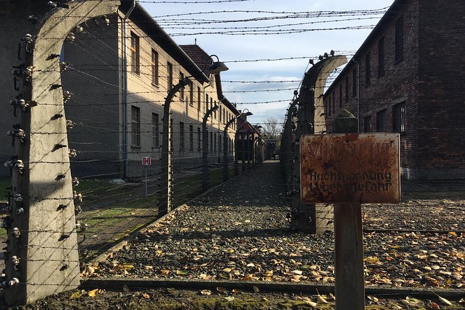 Auschwitz-Birkenau Day Tour from Wroclaw - The museum guide and the tone of the visit