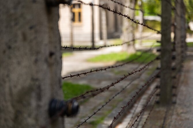 Auschwitz-Birkenau: Day Trip & Transfer from Kraków - Who will appreciate this format