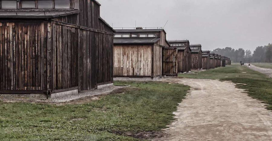 Auschwitz-Birkenau: Entrance Ticket and Live Tour Guide - Why a guide matters at Auschwitz I