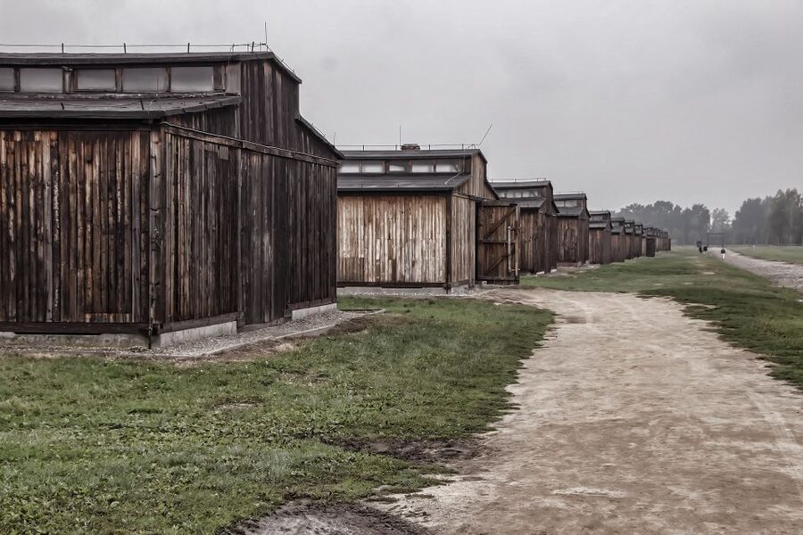Auschwitz-Birkenau: Entrance Ticket and Live Tour Guide - Moving on to Birkenau