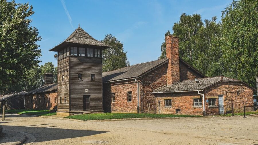 Auschwitz-Birkenau: Entrance Ticket and Live Tour Guide - Transport from Krakow needs careful checking