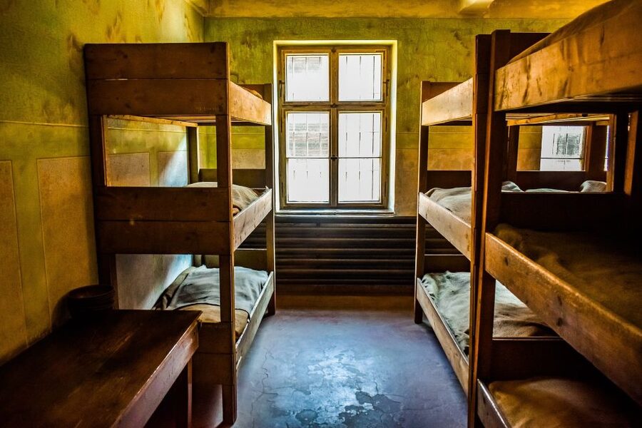 Auschwitz-Birkenau: Entrance Ticket and Live Tour Guide - Timing, walking, and who should choose this