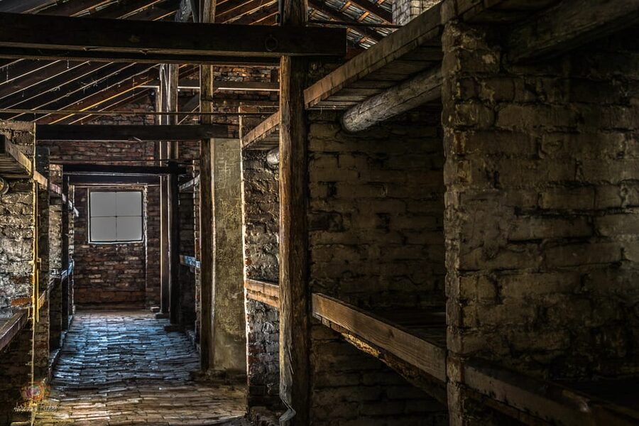 Auschwitz-Birkenau: Guided Tour and Skip-The-Line Ticket - Birkenau and the scale of the second site
