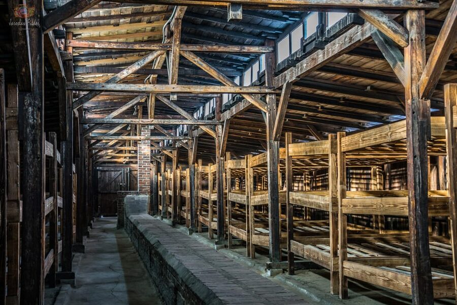 Auschwitz-Birkenau: Guided Tour and Skip-The-Line Ticket - Timing, crowds, and the right expectations