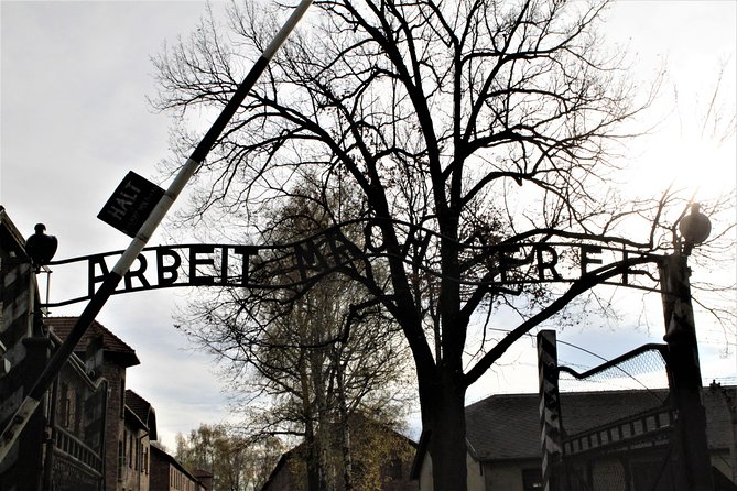 Auschwitz-Birkenau Guided Tour by Private Transport from Krakow - Is $180.57 per person fair value?