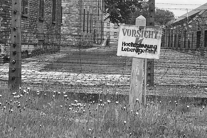 Auschwitz-Birkenau guided tour from Krakow - private car - Three hours with a guide is the right amount of time