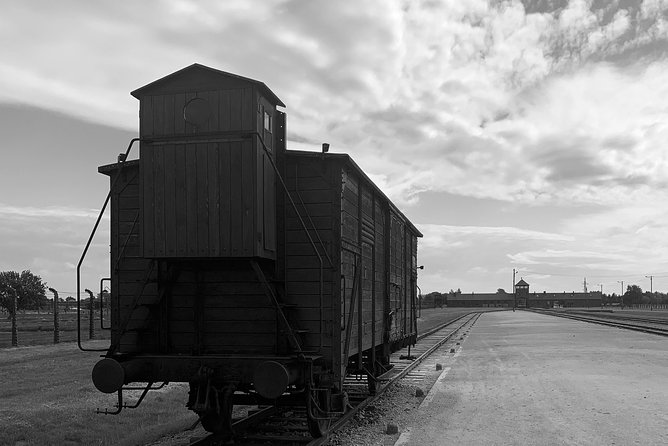 Auschwitz-Birkenau guided tour from Krakow - private car - Food, water, and the short break