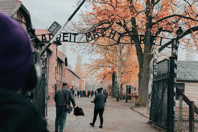 Auschwitz Birkenau guided tour from Krakow private chauffeur - Why this Auschwitz tour works well from Krakow