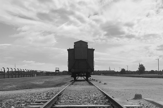 Auschwitz-Birkenau guided tour from Krakow with a private transport - Queues and the question of arrival time