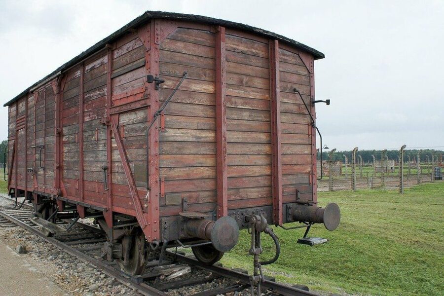 Auschwitz-Birkenau Guided Tour & Transfer from Krakow - The guide is worth having