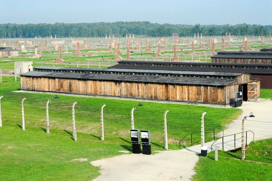 Auschwitz-Birkenau Guided Tour & Transfer from Krakow - What the $34 price really covers