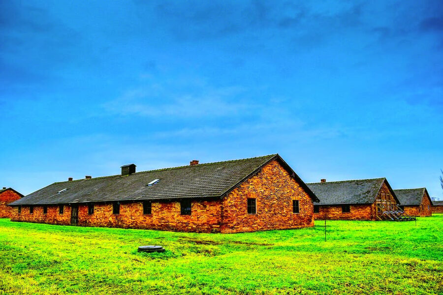 Auschwitz-Birkenau: Guided Tour with Fast Track Ticket - Language choices and the role of the guide