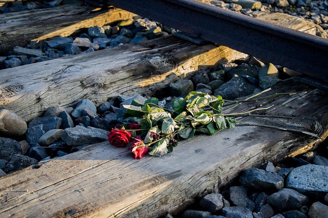 Auschwitz Birkenau Guided Tour with Ticket Hotel Pickup Small Van - Timing, group size, and the cost of convenience