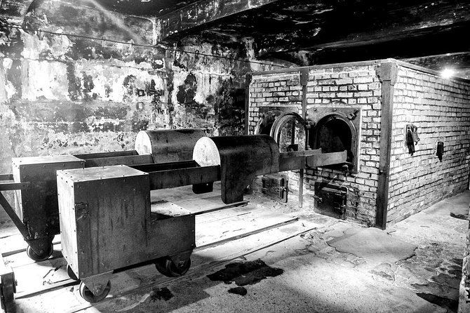 Auschwitz-Birkenau Memorial and Museum Guided Tour from Krakow - Who will get the most from this tour
