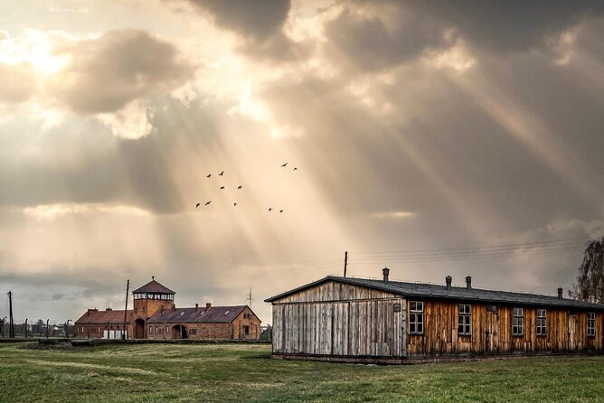 Auschwitz-Birkenau Memorial and Museum Guided Tour - Private Transport - Birkenau gives the day a different scale