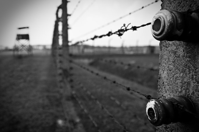 Auschwitz-Birkenau Memorial Entrance Ticket and Guided Tour - Birkenau: the scale of Auschwitz II