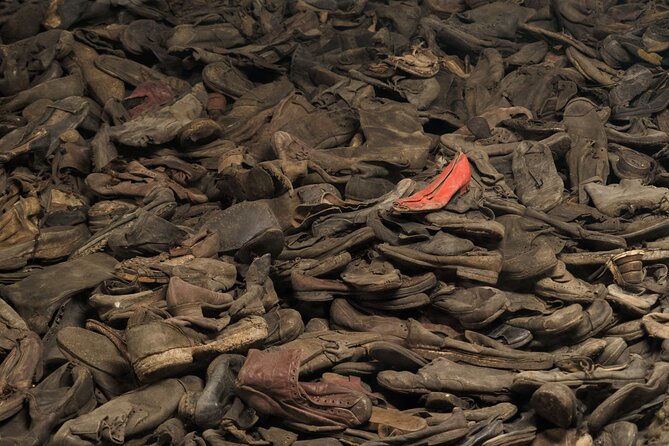 Auschwitz-Birkenau Memorial Entrance Ticket and Guided Tour - What can go wrong, and how to reduce the risk