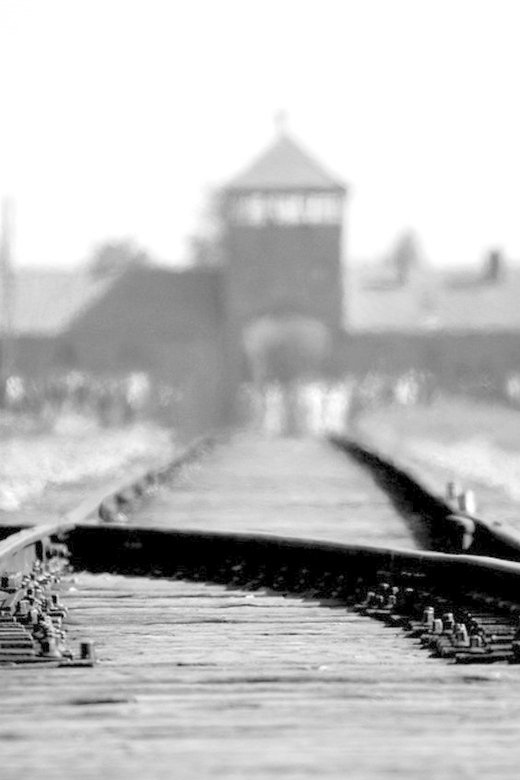 Auschwitz-Birkenau: Memorial Entry Ticket and Guided Tour - The short transfer to Birkenau changes the scale