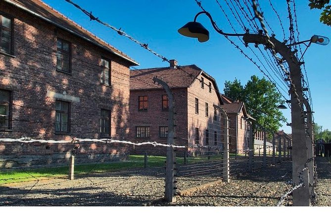 Auschwitz-Birkenau Museum and Memorial Guided Tour from Krakow - Who should book this experience?