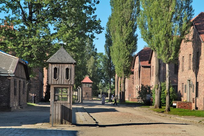 Auschwitz-Birkenau Museum and Memorial Guided Tour from Krakow - Birkenau: scale, silence, and the railway tracks