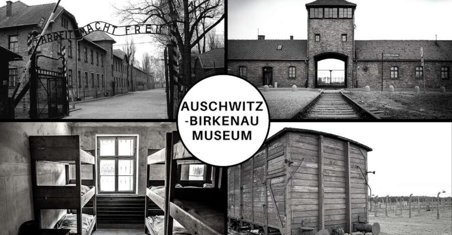 Auschwitz-Birkenau: Museum Entry Ticket with Guided Tour - Two Camps, One Difficult Story