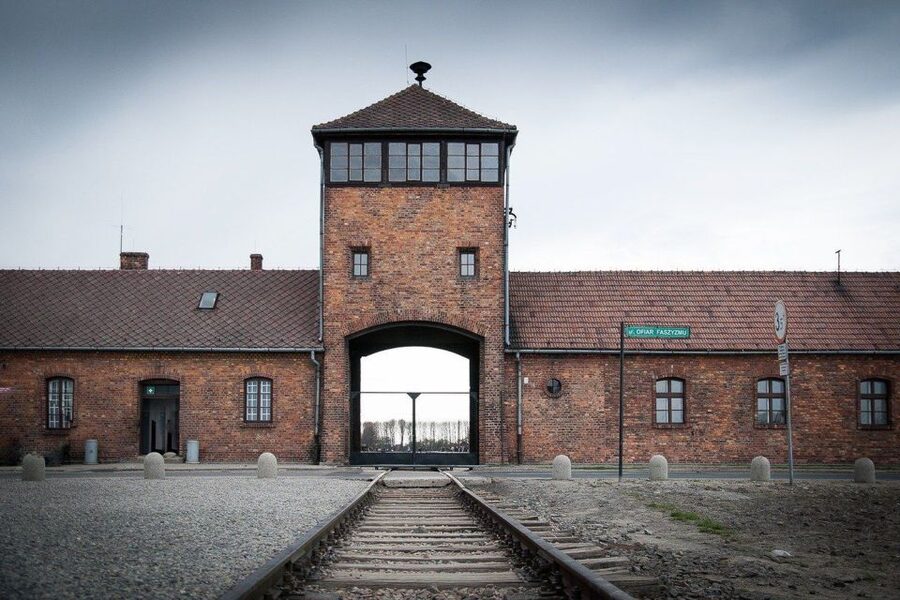 Auschwitz-Birkenau: Museum Entry Ticket with Guided Tour - Why a Guided Group Tour Helps