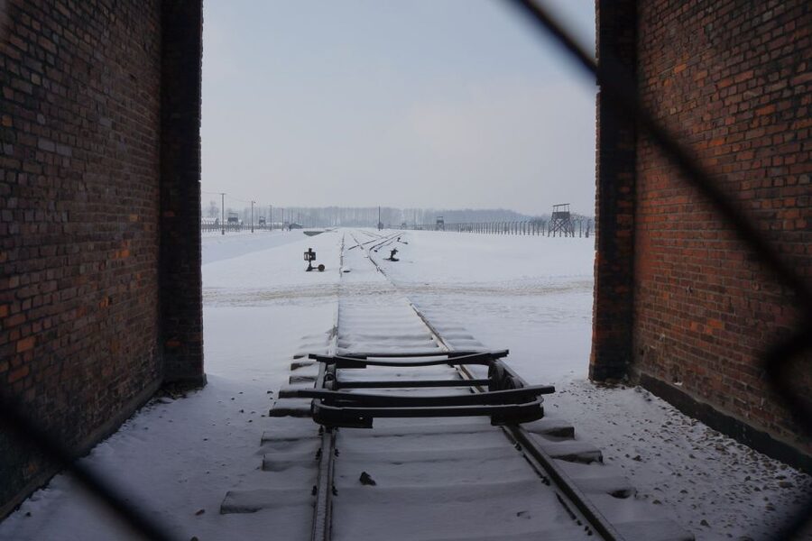 Auschwitz-Birkenau: Museum Entry Ticket with Guided Tour - What the $52 Price Really Covers