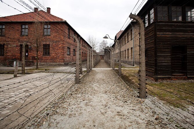 Auschwitz-Birkenau & Salt Mine Day tour - The road to Wieliczka