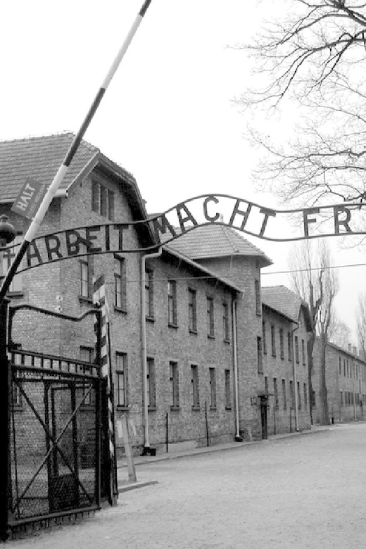 Auschwitz-Birkenau & Salt Mine Tour in One Day from Krakow - My verdict on this two-site schedule