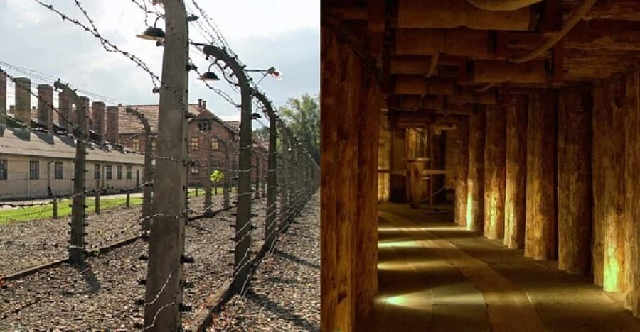 Auschwitz-Birkenau & Salt Mine Tour in One Day from Krakow - Practical packing advice for this exact tour