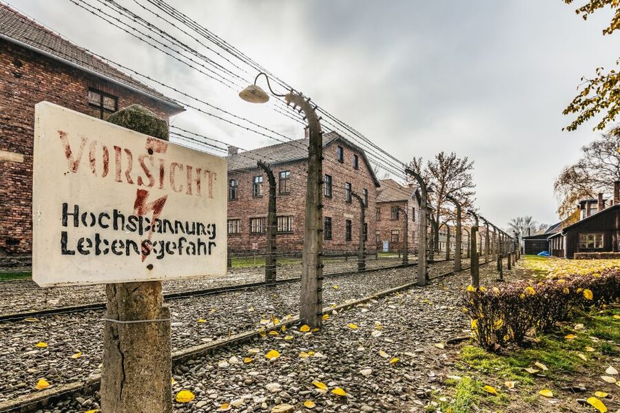 Auschwitz-Birkenau: Skip-the-Line Entry Ticket & Guided Tour - Key points to know before booking