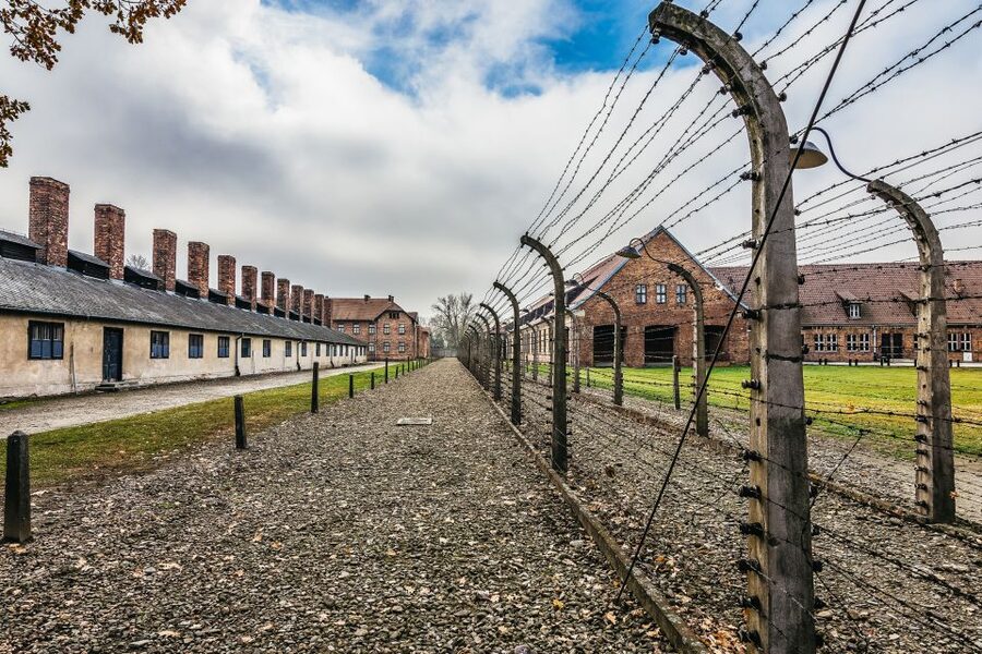 Auschwitz-Birkenau: Skip-the-Line Entry Ticket & Guided Tour - Who should book this tour?