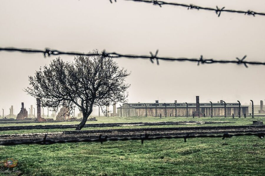 Auschwitz-Birkenau: Skip-the-Line Entry Ticket & Guided Tour - Why both Auschwitz sites matter