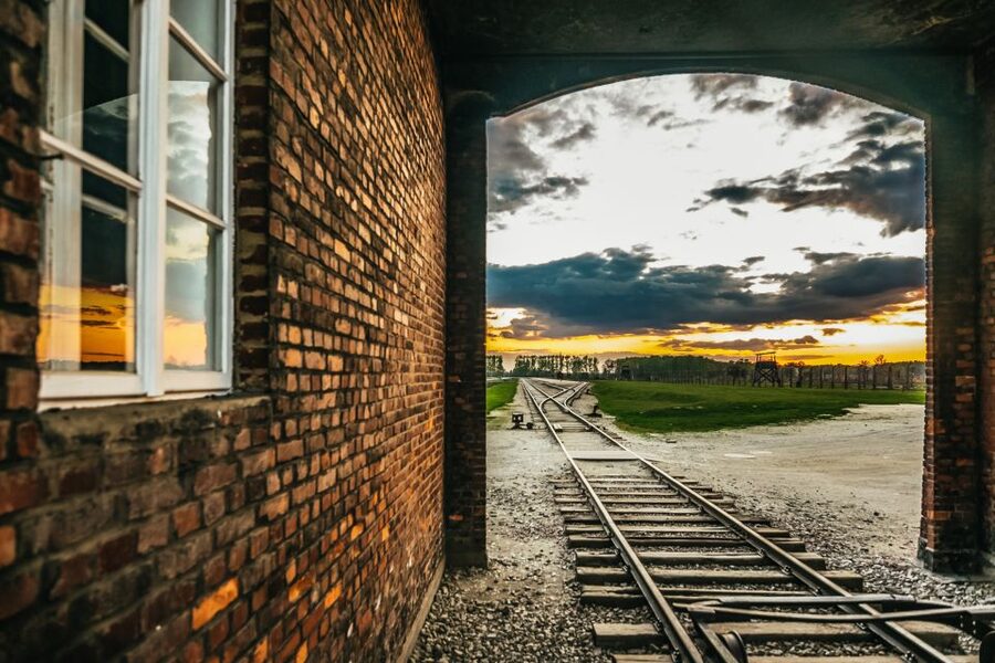 Auschwitz-Birkenau: Skip-the-Line Entry Ticket & Guided Tour - Birkenau and the scale of the camp