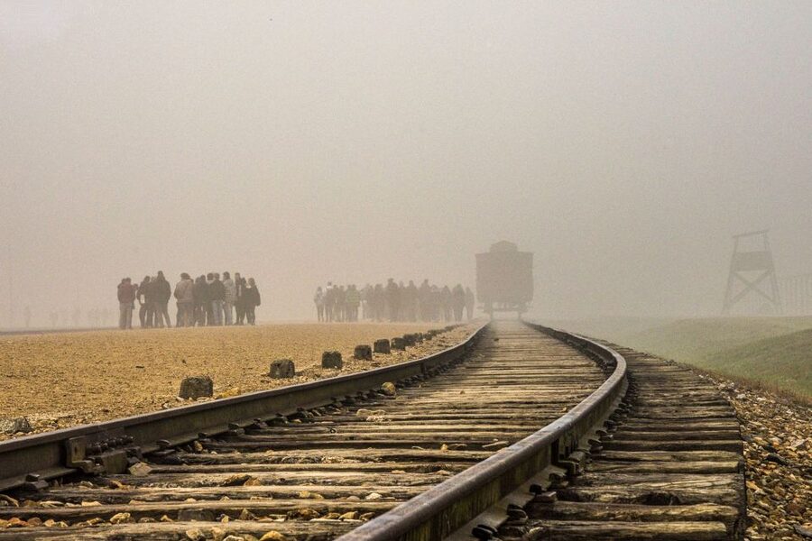 Auschwitz-Birkenau: Skip-the-Line Entry Ticket & Guided Tour - How good is the skip-the-line promise?