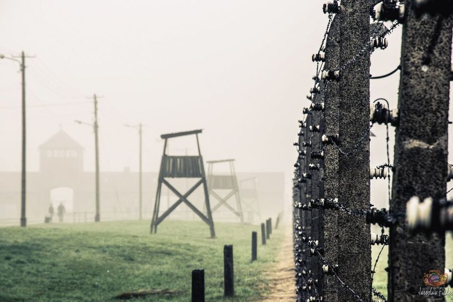 Auschwitz-Birkenau: Skip-the-Line Entry Ticket & Guided Tour - Guide quality and the value of headsets