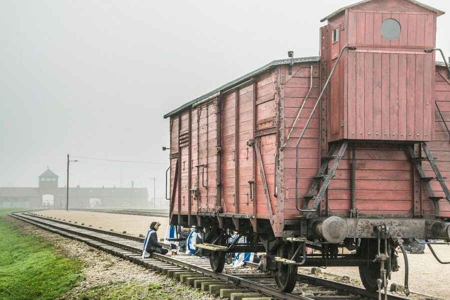 Auschwitz-Birkenau: Skip-the-Line Entry Ticket & Guided Tour - The exhibits at Auschwitz I