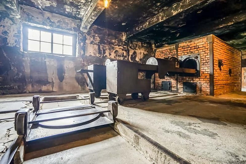 Auschwitz-Birkenau Skip-the-Line Guided Tour - Why a guided Auschwitz visit matters