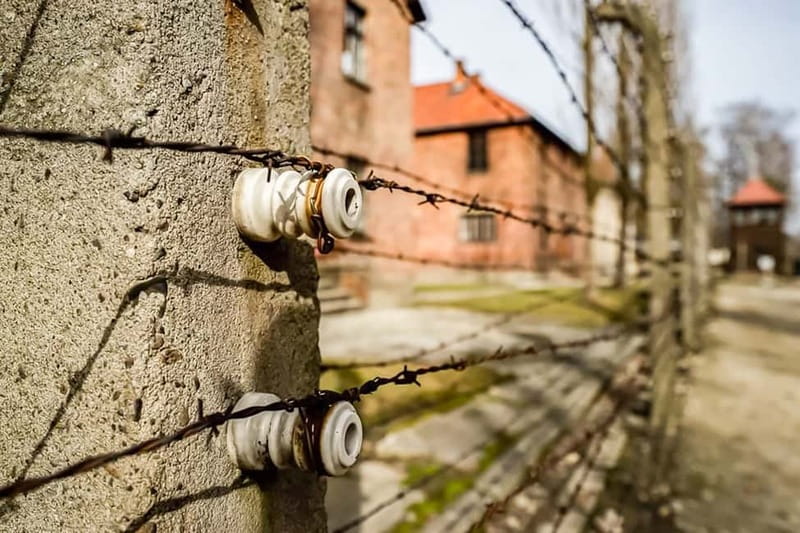 Auschwitz-Birkenau Skip-the-Line Guided Tour - The emotional side of the visit