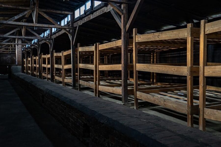 Auschwitz-Birkenau: Skip-the-Line Ticket and Guided Tour - Why a guide matters at Auschwitz I