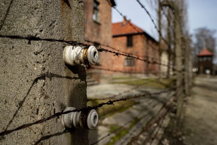 Auschwitz-Birkenau Skip-the-Line Ticket and Guided Tour - Language, group size, and the headsets