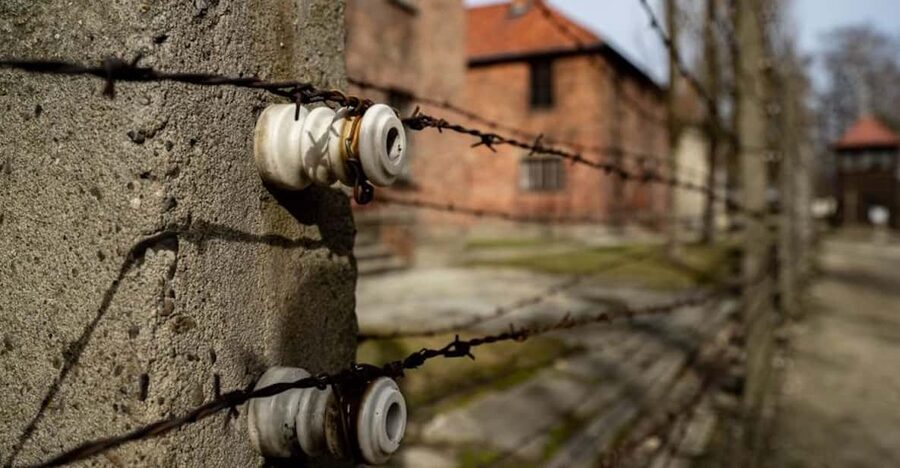 Auschwitz-Birkenau: Skip-the-Line Ticket and Guided Tour - The artifacts that make the past feel immediate
